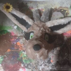 Daisy the doe